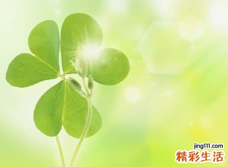 放下一段感情结束的网名，让人感觉孤独的微信昵称