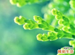 特殊意义新潮网名带解释，比较有意义的微信英文名字