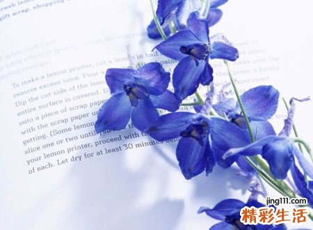 简单好听的网名，独一无二抖音最火的昵称
