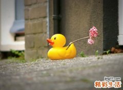 搞笑欠揍的网名笑死人，很皮很搞笑的幽默网名