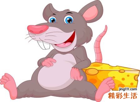 梦见小耗子好不好，鼠年梦到老鼠是什么意思
