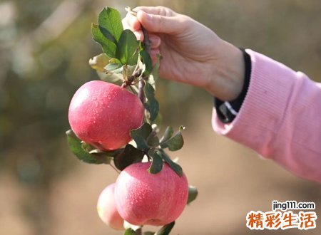 搬家有什么讲究和忌讳