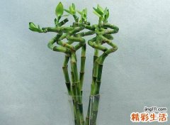 带来运气最好的网名，非常转运的微信昵称