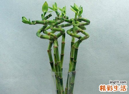 带来运气最好的网名，非常转运的微信昵称