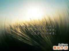 心冷了人累了的网名，领悟人生的微信名字