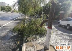 梦见刮大风自己在屋里好不好，男人梦见刮非常大的风