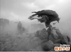 梦见刮大风有什么预兆，女人梦见刮好大的风