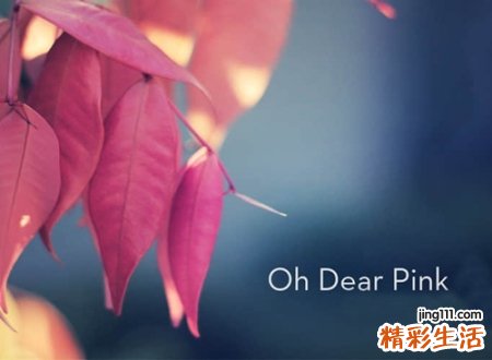 最静心的有深意的网名，心境淡然的微信名字