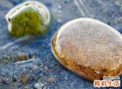 修心养性的简单网名，淡然心静的微信昵称