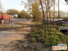 梦见刮大风是什么意思，女人梦见刮大风特别大的风