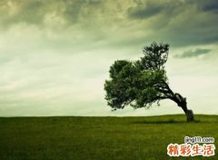 有内涵的四字成语网名，4个字古风诗意唯美名字