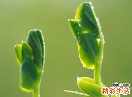 带来好运微信名字，运气比较旺的网名
