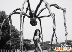 独一无二的霸气女网名，高冷御姐专属微信名字