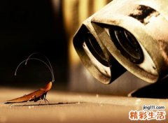 好听的超拽冷漠网名，孤僻高傲的霸气昵称