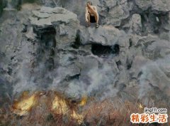 梦见火有什么预兆，女人梦见火好不好