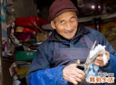 1941年属什么生肖，41年属蛇还能活几年