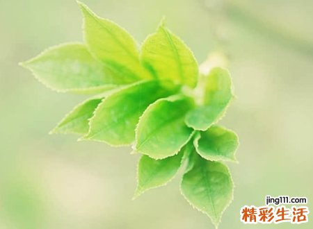 阳光励志心态好的微信网名，有深意的微信正能量昵称