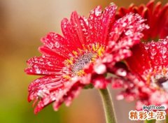 带红字的优雅微信昵称，带红字好寓意的网名
