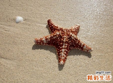 超级贱欠扁的网名，很贱又欠揍的微信个性名字