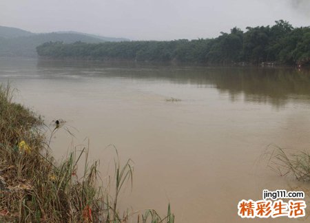 梦见水是什么预兆，做梦梦到水有财运吗