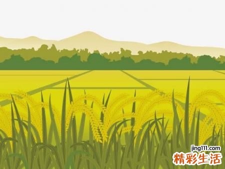 梦见水池，梦到在水池里抓螃蟹