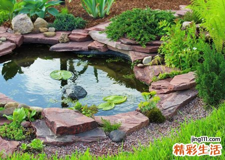 梦见水池，梦到在水池里抓螃蟹