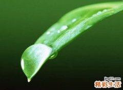 警醒自己自律的网名，努力坚持的微信追梦昵称