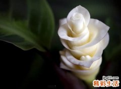抖音最酷的爆红网名，神秘吸引人涨粉的抖音名字