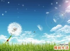 阳光开朗的青春网名，乐观开朗好听的微信昵称