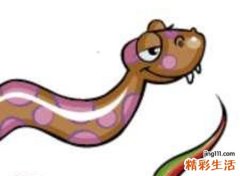 梦见水缸里一条蛇在吃鱼