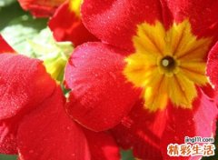 开心愉悦好听的网名，有深意开心点的阳光昵称