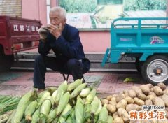 1950年属虎的是什么命，50属虎人的灾难年龄