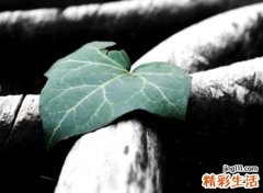 人累心累身心疲惫的网名，伤感无奈的qq个性名字