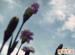 简短霸气的英文网名，高贵黑暗冷酷的英文名