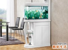 鱼缸放在客厅什么位置最好