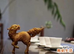 黄杨木风水禁忌