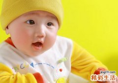 2026年属什么生肖，2026年属马的是什么命