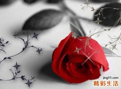 治愈系走心的唯美网名，简单暖心有新意的优雅昵称