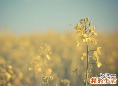 两字独特霸气的游戏名字，很有意境的2个字个性网名