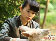 1973年的牛是什么命