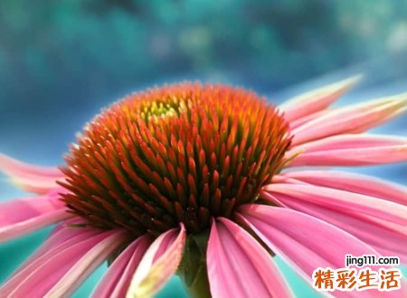 淡看人生的成熟网名，有哲理有内涵的微信名字