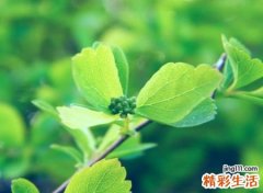 成熟有魅力的气质昵称，吸引人的爆款微信网名