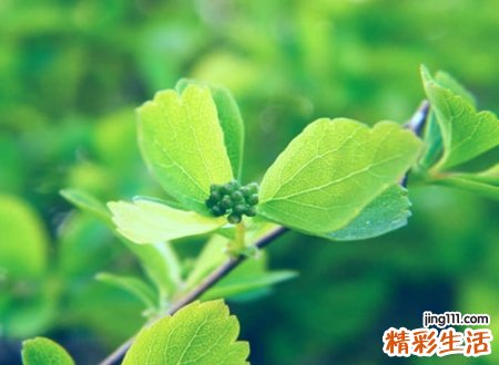 成熟有魅力的气质昵称，吸引人的爆款微信网名