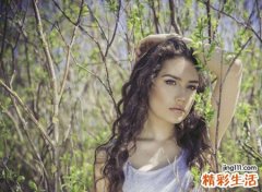 木命最厉害的是哪种木