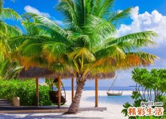 梦见吸血虫好吗，女人梦见吸血虫钻进身体里