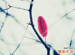 古风韵味的四字网名，4个字古风诗意唯美名字