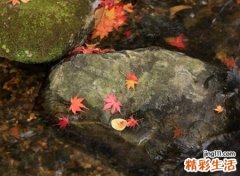 低调有内涵的四字网名，4个字有气质的个性昵称