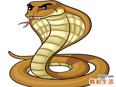 梦见三条大蟒蛇预示着什么，做梦梦到三条巨蟒