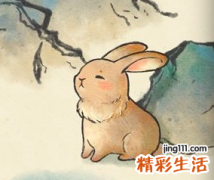 2023年属兔相冲的月份有哪些 2023年属兔与什么相克