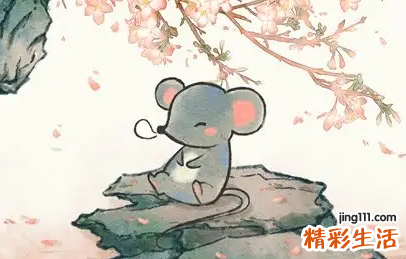 2022年属鼠人8月份运势完整版 属鼠人2022年8月运势及运程